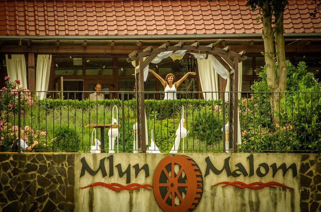 Mlyn Penzion&Wellness Radvaň nad Dunajom Exterior foto