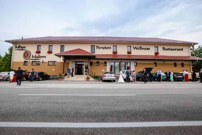 Mlyn Penzion&Wellness Radvaň nad Dunajom Exterior foto