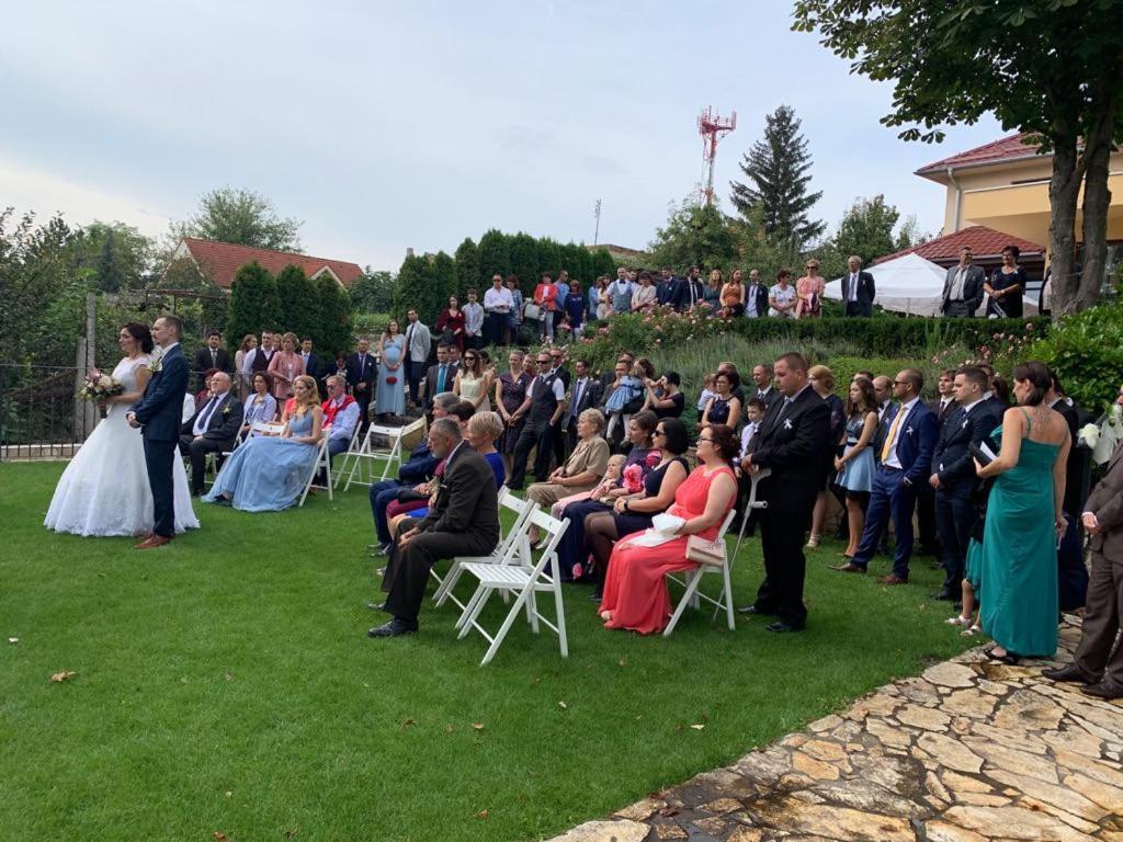 Mlyn Penzion&Wellness Radvaň nad Dunajom Exterior foto