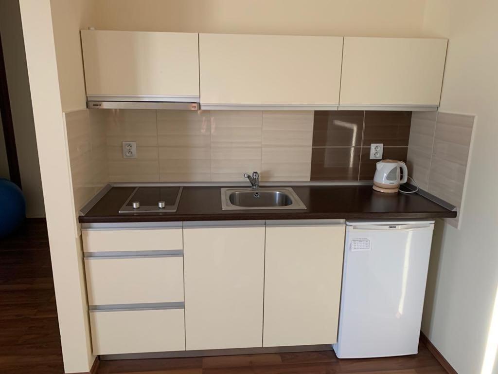 Mlyn Penzion&Wellness Radvaň nad Dunajom Exterior foto